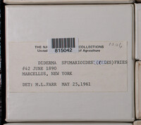 Image Associated With the Occurence